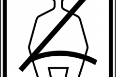 Wear-seat-belt